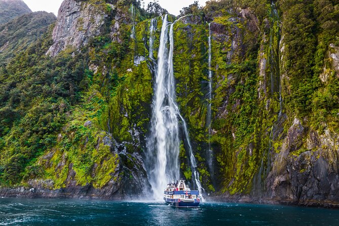 Milford Sound Cruise from Queenstown or Te Anau - Food and coffee options: how to plan for lunch on the water