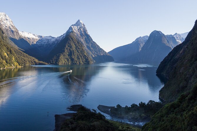 Milford Sound Cruise - RealNZ - Wildlife spotting that feels real, not forced