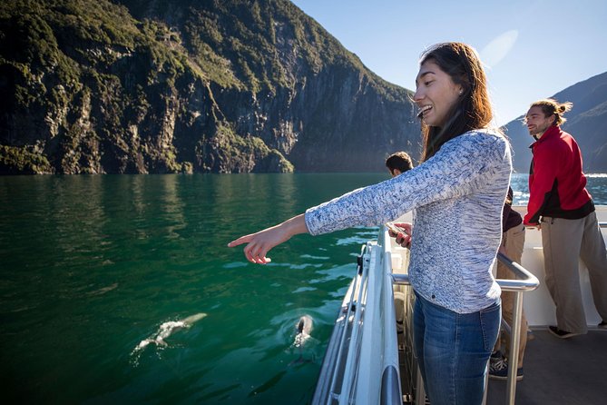 Milford Sound Cruise: Stunning Views & Optional Picnic or Buffet - Wildlife Spotting From Deck and Windows (Dolphins, Seals, Penguins)