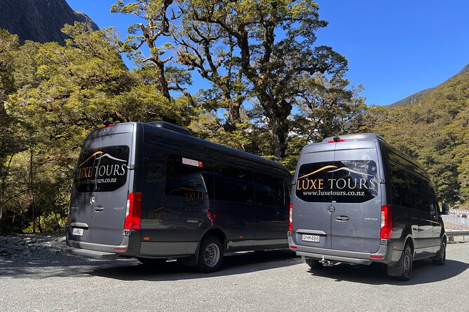 Milford Sound Full Day Tour from Te Anau with Cruise - The Te Anau to Milford Sound flow, and why it feels efficient