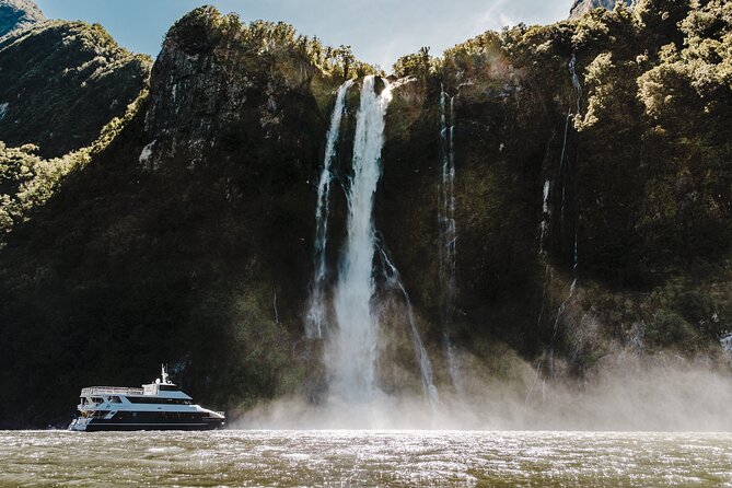 Milford Sound Luxury Lunch Cruise onboard The Fiordland Jewel - Wildlife spotting from the narration seat: seals, penguins, dolphins