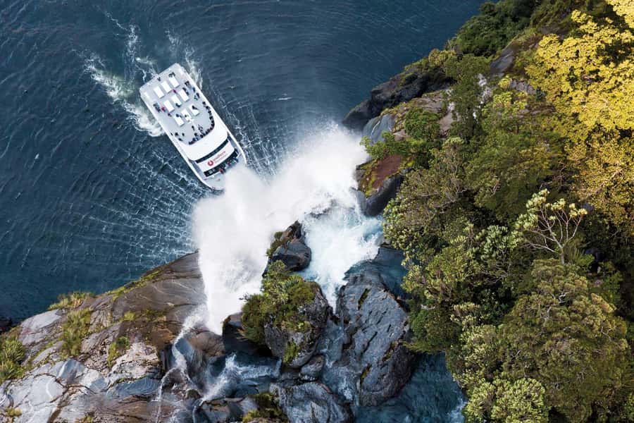 Milford Sound: Nature Cruise - Grand Views & Optional Lunch - Milford Sound Nature Cruise on a premium catamaran, what you really get