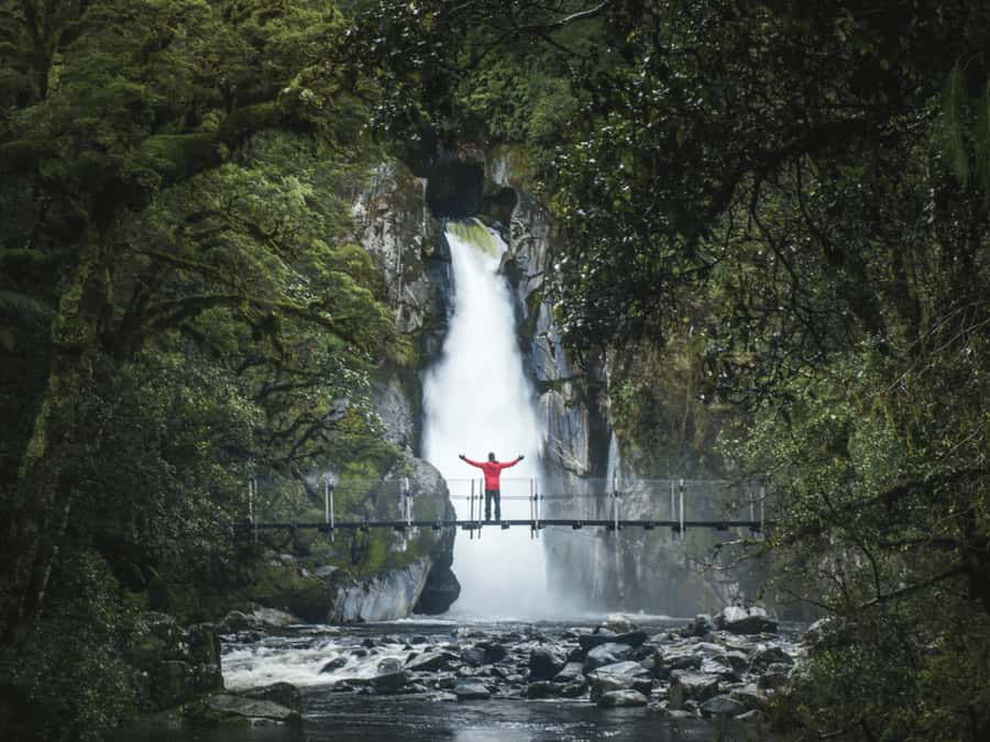 Milford Sound: Nature Cruise & Milford Track Walk - Giant’s Gate Falls Stop: Picnic Break, Photo Moment, and a Swim Chance