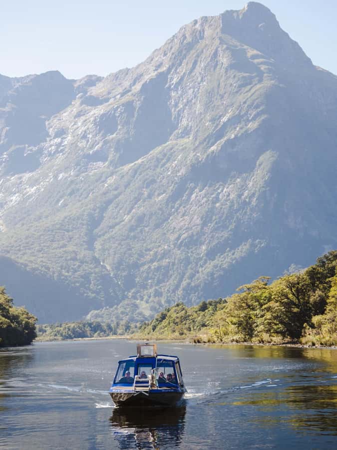 Milford Sound: Nature Cruise & Milford Track Walk - Wildlife, Commentary, and How to Get More Out of the App