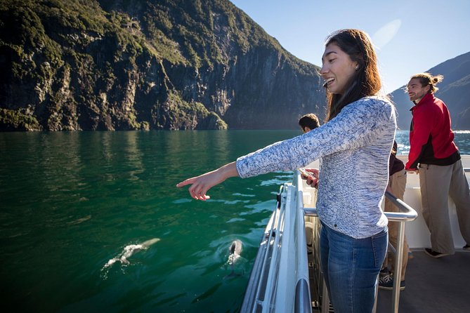 Milford Sound Nature Cruise with Southern Discoveries - Visitor Centre start: arriving on time for the best views