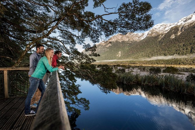 Milford Sound Premium Coach and Cruise with Lunch from Te Anau - Getting Value From $183.07: What You’re Really Paying For
