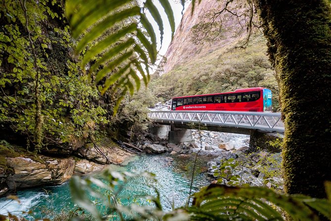 Milford Sound Premium Coach and Cruise with Lunch from Te Anau - Weather and Practical Tips That Can Save Your Day