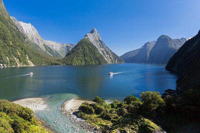 Milford Sound Premium Coach and Cruise with Lunch from Te Anau - Your Day’s Rhythm: Why the Short Stops Are Built the Way They Are
