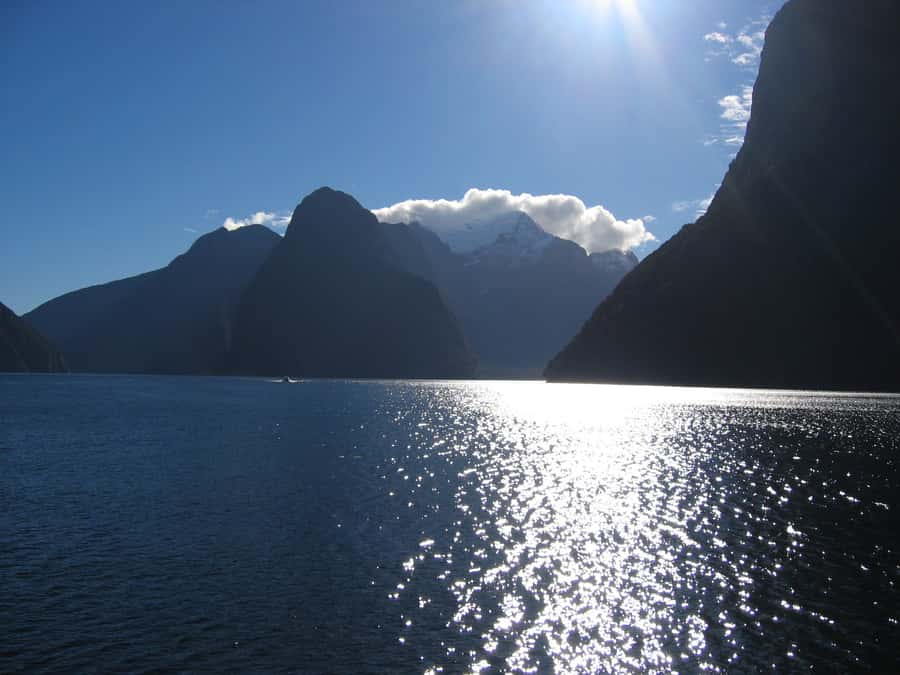 Milford Sound Premium Day Tour and Cruise from Te Anau - Waterfalls close to the spray, plus dolphins and seals