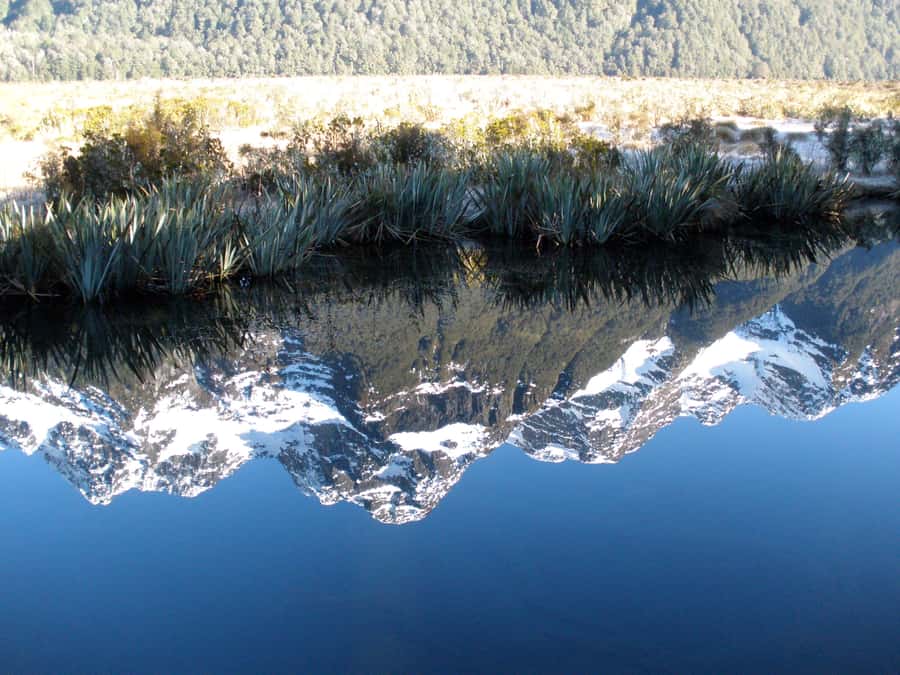 Milford Sound Premium Day Tour and Cruise from Te Anau - Snacks, refreshments, and how to plan your food day