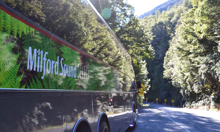 Milford Sound Premium Day Tour and Cruise from Te Anau - The drive stops that turn transit into real viewing time