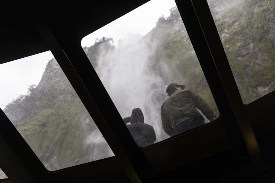 Milford Sound: Premium Small Group Cruise with Canape Lunch - Wildlife spotting, how the skippers tailor the day
