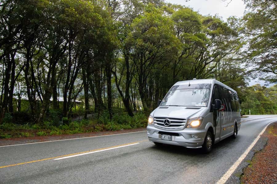 Milford Sound: Premium Small Group Tour from Queenstown - Kea, Waterfalls, and Why Break Stops Change the Day