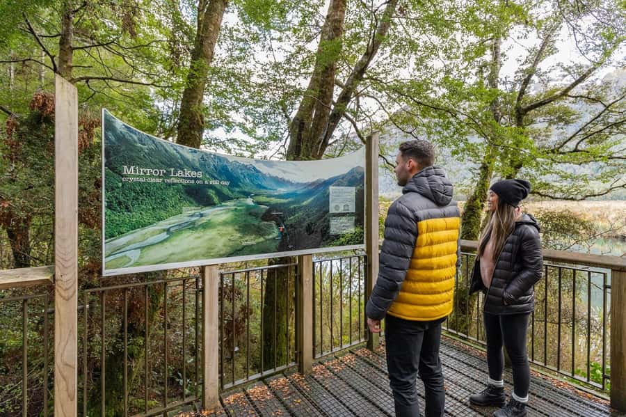 Milford Sound: Premium Small Group Tour from Queenstown - Lunch and Timing: The Picnic That Keeps You Moving