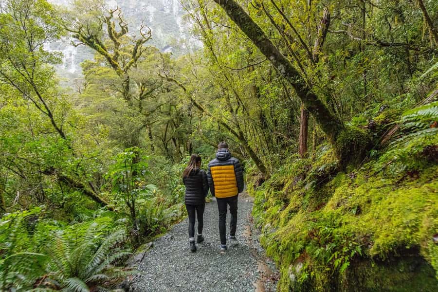 Milford Sound: Premium Small Group Tour from Queenstown - What to Bring for a Full-Day Milford Sound Day Trip