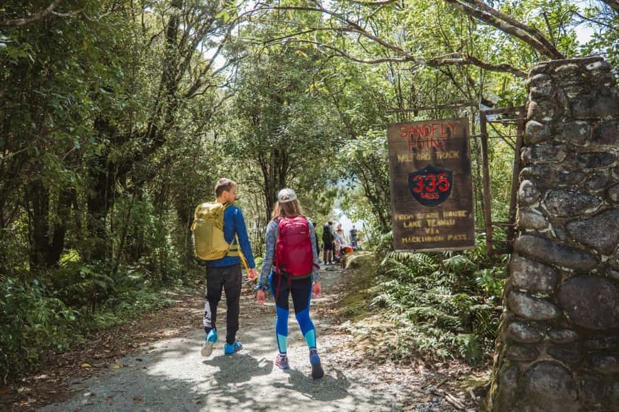 Milford Sound: Self-Guided Milford Track Day Walk - Key things I’d bank on before you go