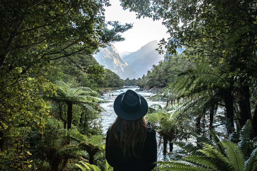 Milford Sound: Self-Guided Milford Track Day Walk - Getting to the right boat ramp (Deepwater Basin matters)