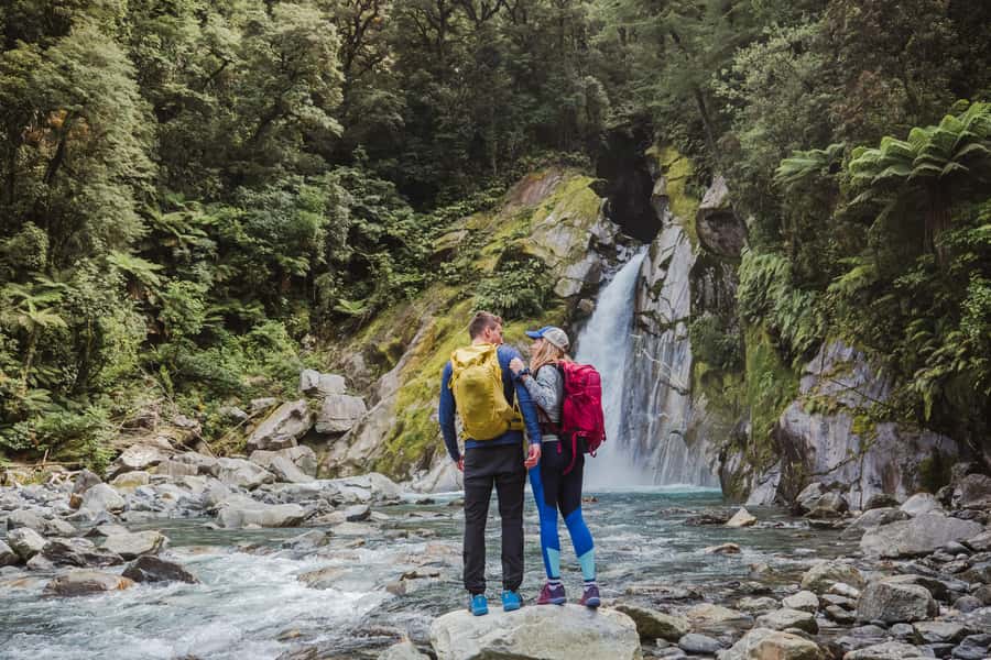 Milford Sound: Self-Guided Milford Track Day Walk - What you’ll notice along the way: trees, nectar birds, and birdsong