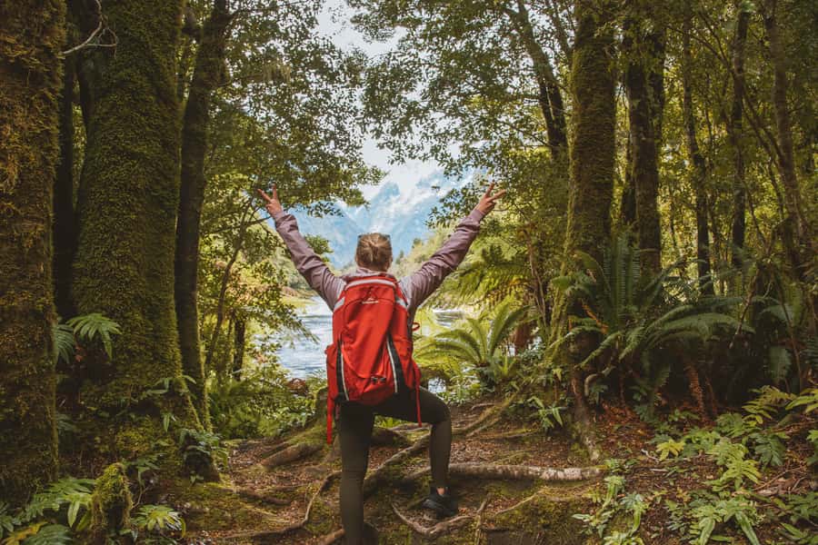 Milford Sound: Self-Guided Milford Track Day Walk - Timing: how the 210 minutes adds up