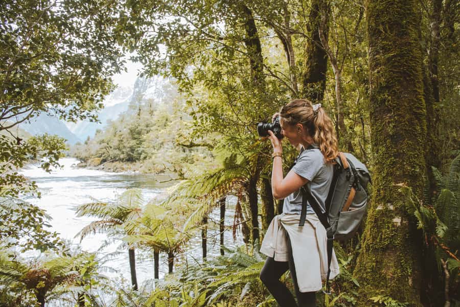 Milford Sound: Self-Guided Milford Track Day Walk - Price and value: what $44 per person really buys