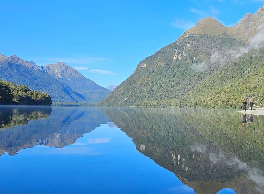 Milford Sound: Small-Group Tour from Te Anau - Should you book this Milford Sound small-group tour?