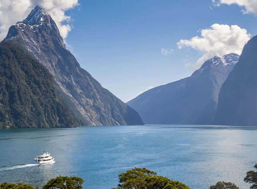 Milford Sound: Small-Group Tour from Te Anau - Why Milford Sound from Te Anau feels like the smart move