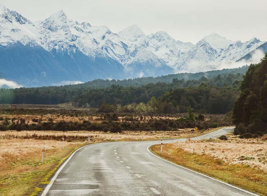 Milford Sound: Small-Group Tour from Te Anau - Small-group comfort: why it helps on both the road and the water