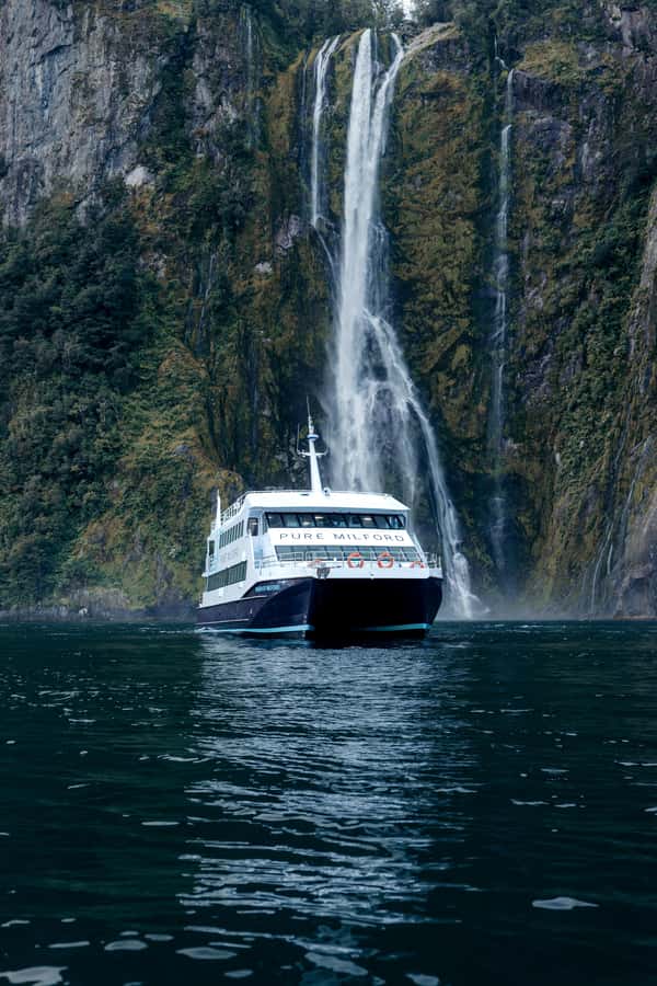 Milford Sound: Waterfalls, Wildlife, and Rainforest Cruise - Key Things You’ll Notice on This Cruise