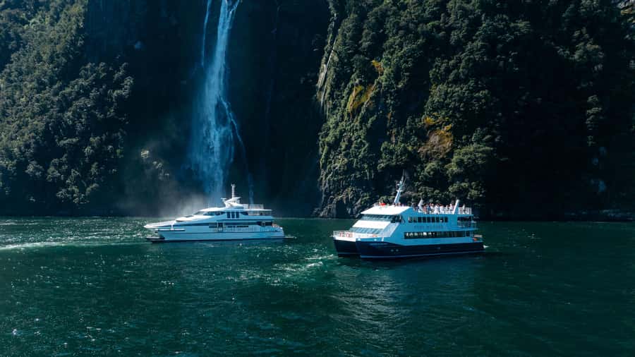 Milford Sound: Waterfalls, Wildlife, and Rainforest Cruise - 105 Minutes of Waterfalls, Rainforest, and Close-Up Spray