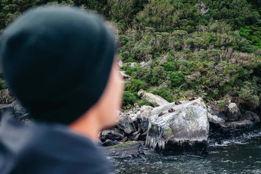 Milford Sound: Waterfalls, Wildlife, and Rainforest Cruise - Snacks, Coffee, and the On-Board Cafe/Bar Rhythm