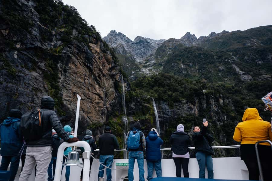 Milford Sound: Waterfalls, Wildlife, and Rainforest Cruise - Value and Price: Is $83 a Good Deal for Milford Sound?