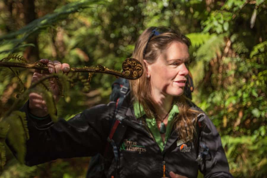 Milford Track: Full Day Guided Hike and Nature Cruise - The short water taxi transfer that sets up your hike