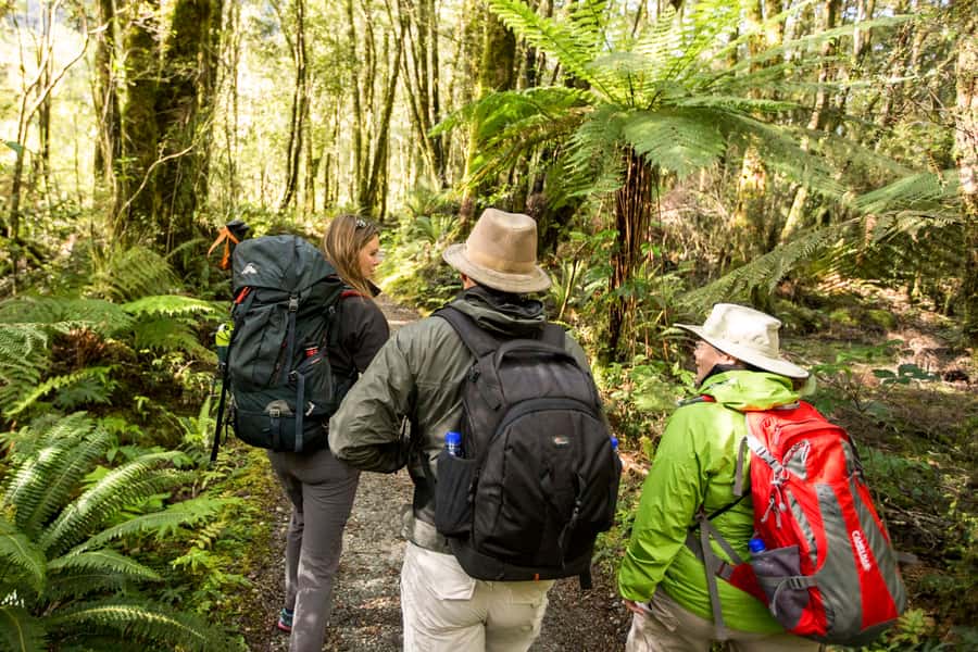 Milford Track: Full Day Guided Hike and Nature Cruise - Visitor center break time, hot drinks, and regrouping