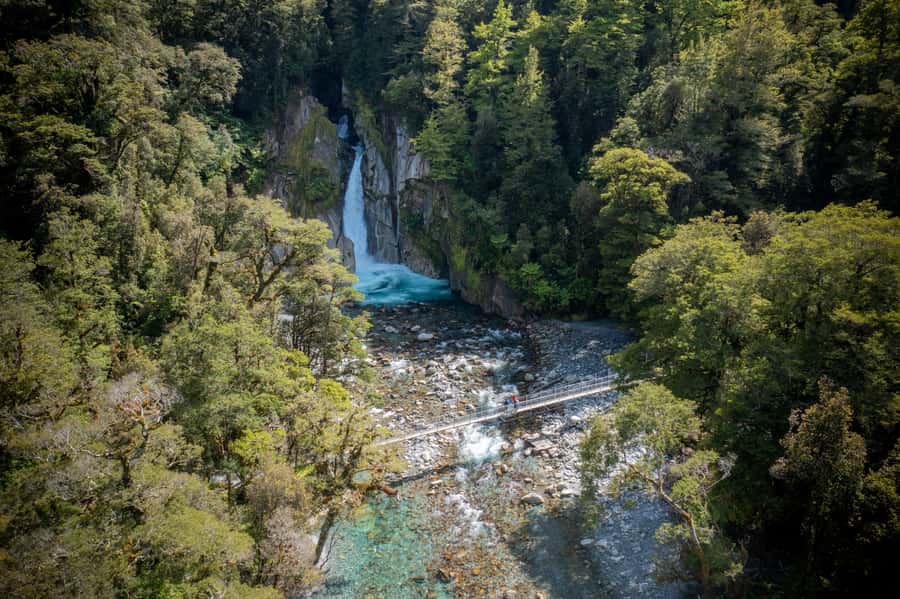 Milford Track: Full Day Guided Hike and Nature Cruise - Price and value: why $215 feels fair, and where costs can surprise you
