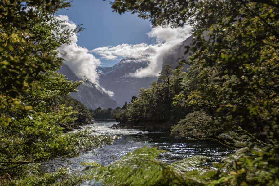 Milford Track: Full Day Guided Hike and Nature Cruise - Mitre Peak Cruises meeting time, drive time, and parking reality