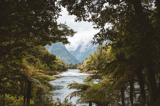 Milford Track Multi-Night Hike - Water Taxi Transport - Tips that help you use this transfer smoothly