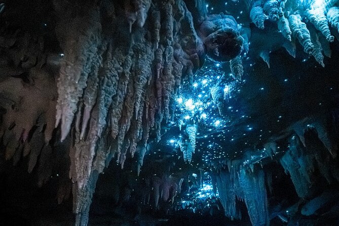 Milky Way Glowworm Cave Tour - Key things to know before you go
