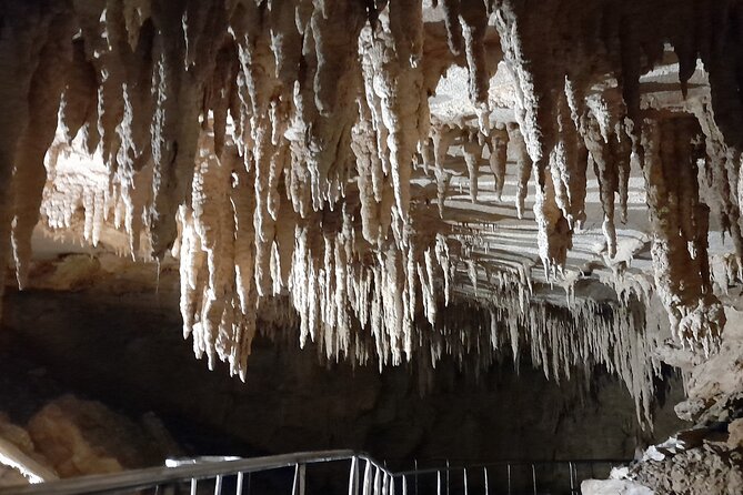 Milky Way Glowworm Cave Tour - The guide’s lifecycle talk, and how it changes what you notice