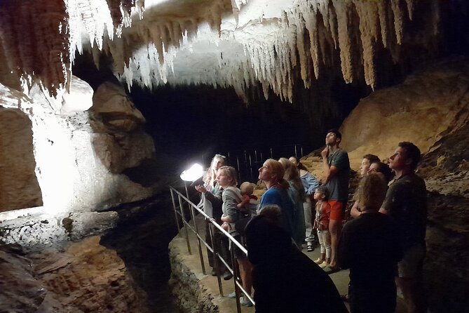 Milky Way Glowworm Cave Tour - Family-friendly reality: suitable for all ages, with a stair reality