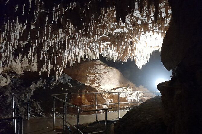 Milky Way Glowworm Cave Tour - Practical tips to make your glowworm hour better