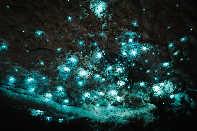 Milky Way Glowworm Cave Tour - What the walk into the cave feels like (300 m plus 30 steps)