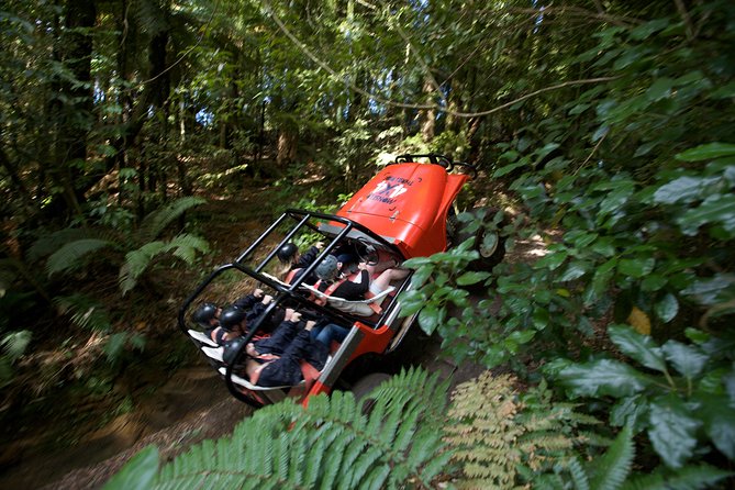 Monster 4X4 Thrill Ride at Off Road NZ - Inside the monster truck: gear up fast and hold on