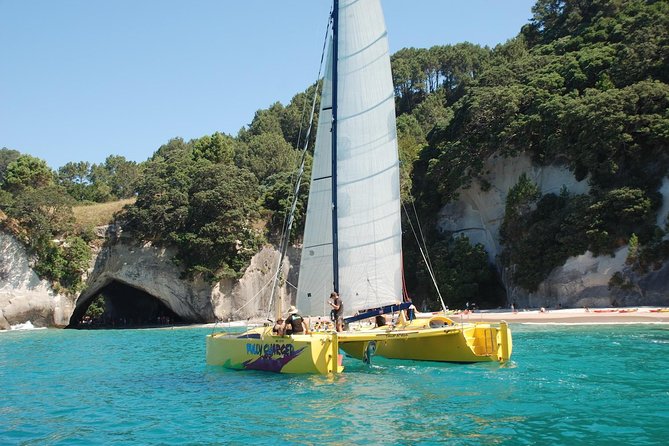 Morning Glory Chilled out Sail (3.5hrs) - Key highlights you will care about