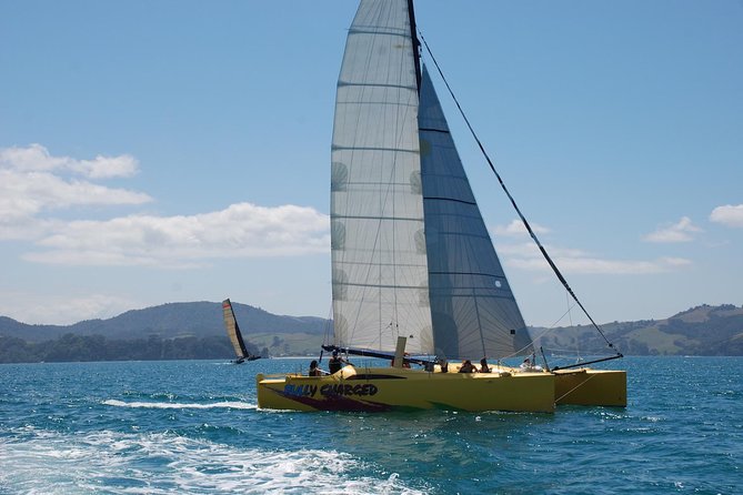 Morning Glory Chilled out Sail (3.5hrs) - Gemstone Bay marine reserve: optional snorkel time
