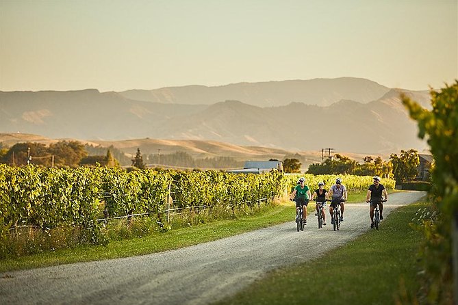 Morning Guided with Afternoon Self-Guided Biking Wine Tour - Afternoon self-guided riding: freedom that’s actually supported
