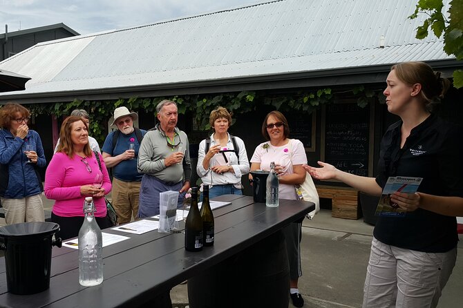 Morning Guided with Afternoon Self-Guided Biking Wine Tour - Weather backup that keeps the day from falling apart