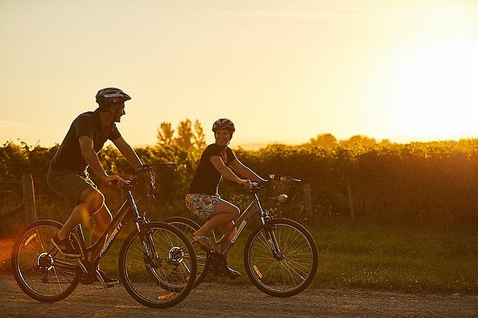 Morning Guided with Afternoon Self-Guided Biking Wine Tour - Lunch isn’t included, so eat before you run out of energy