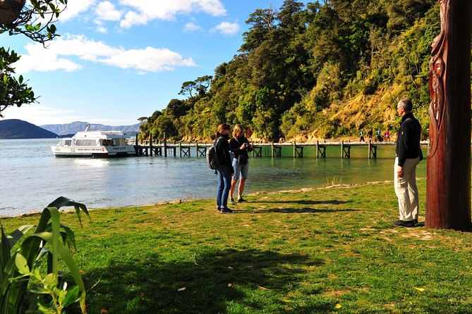 Motuara Island Bird Sanctuary and Ship Cove Cruise from Picton - Wildlife spotting, the realistic odds, and how to improve your chances