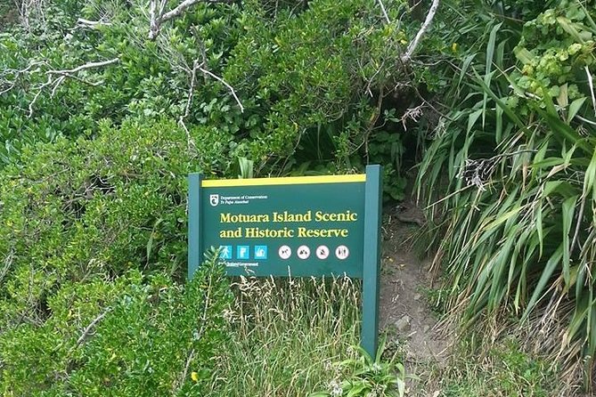 Motuara Island Bird Sanctuary and Ship Cove Cruise from Picton - What’s included, what you need to plan, and how to pack light