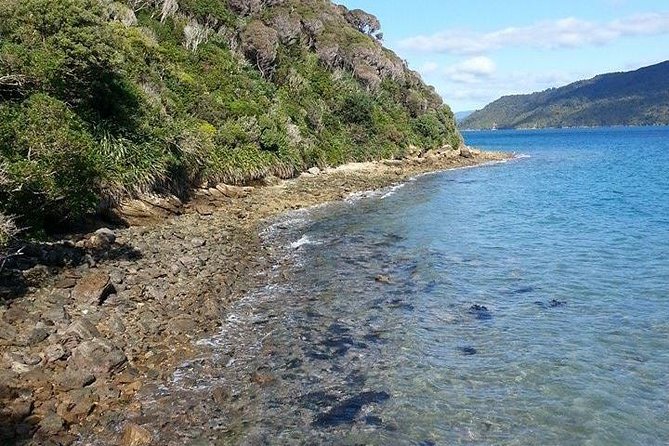 Motuara Island Bird Sanctuary and Ship Cove Cruise from Picton - Price and value: what you’re paying for and who benefits most